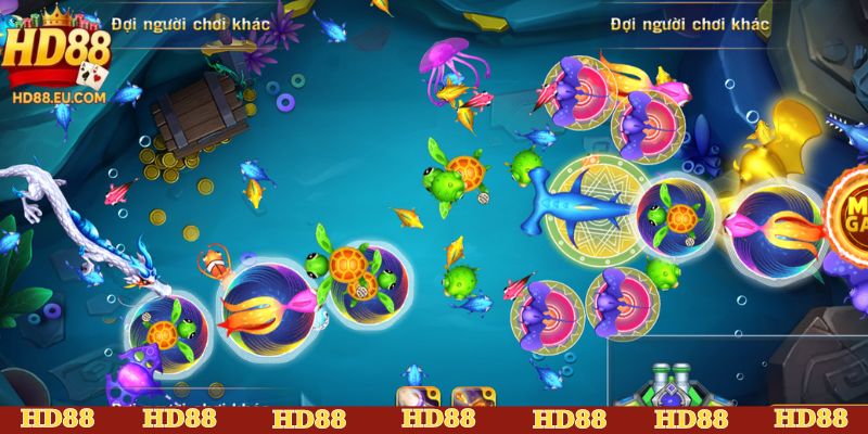 Bí quyết săn cá kim cương