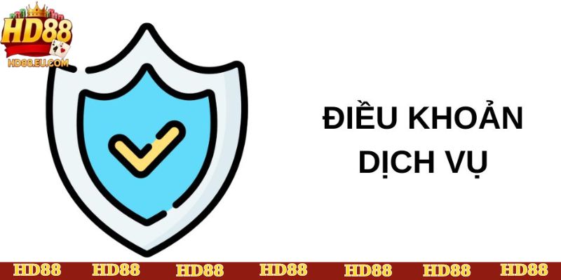 Điều kiện điều khoản là gì