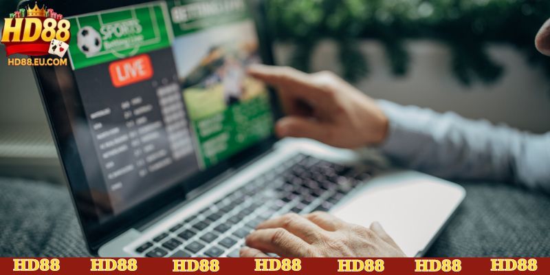 Lý do nên soi kèo trước khi cược